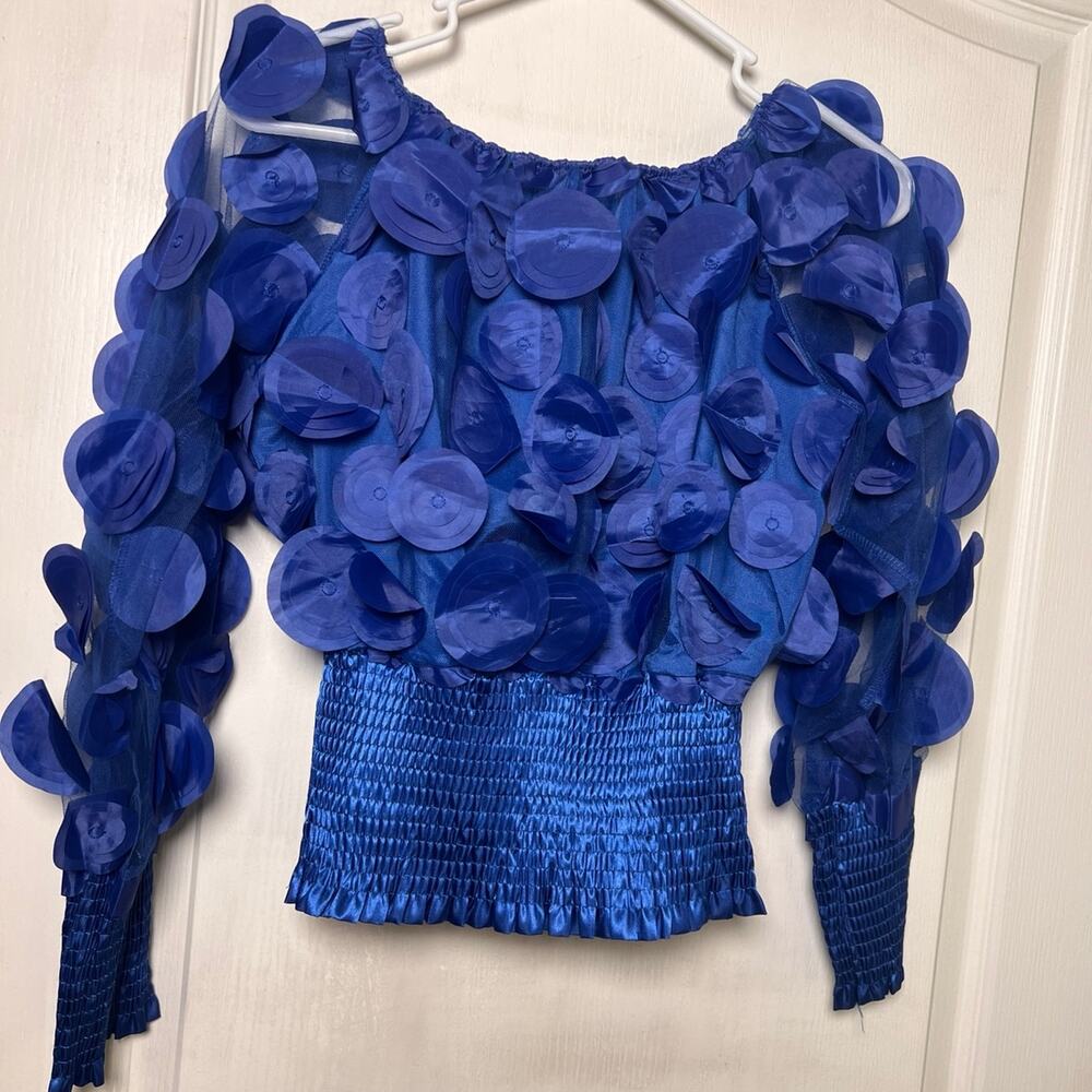 Royal Blue 3D Floral Appliqué Sheer Mesh Crop Top XS